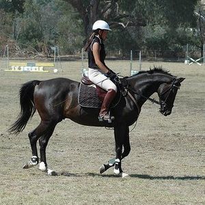 Meet your Posher, Caroline